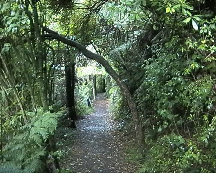 Karangahake Gorge